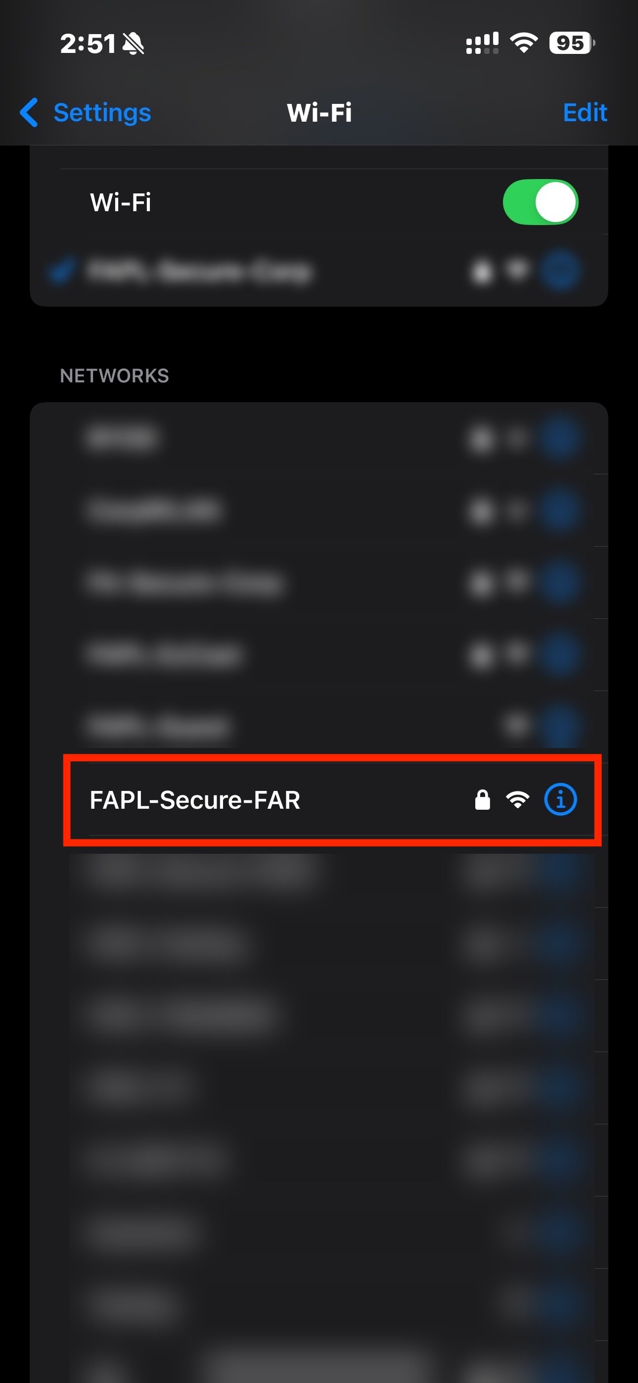 iPhone WiFi Settings